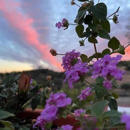 بيت للعطل Santo Antonio